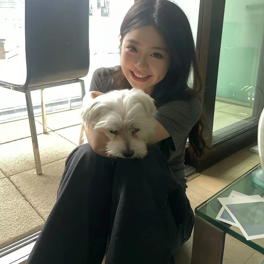 轰炸达尔文:尴尬的真相